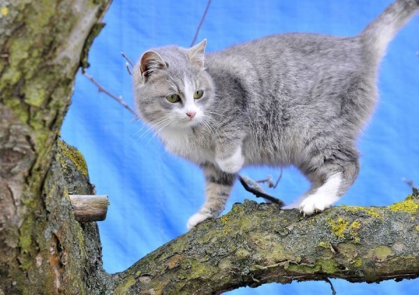Волинь в льодяному тумані. ФОТО