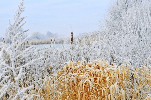 Волинь в льодяному тумані. ФОТО