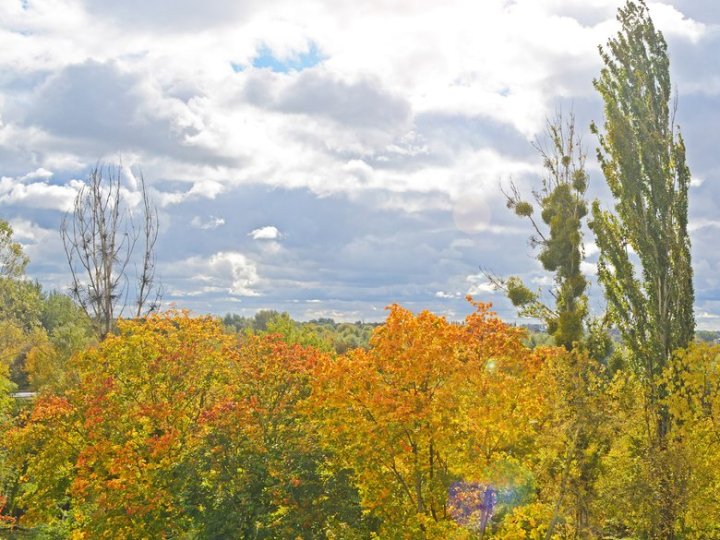 Найсильніші пориви очікуються вдень: на Волині - штормове попередження, сильний вітер та грози