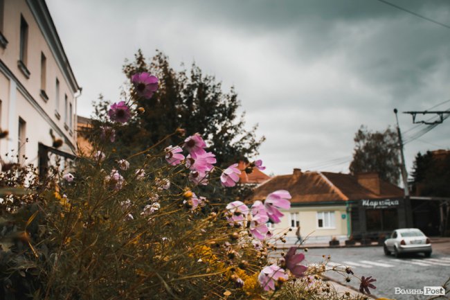 Похмура осінь у Луцьку. ФОТО