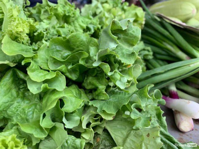 Скільки вартує зелень на ринку Луцька 