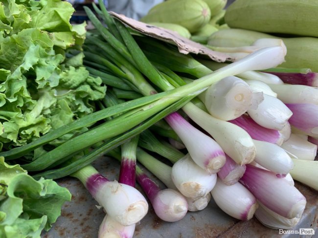 Скільки вартує зелень на ринку Луцька 