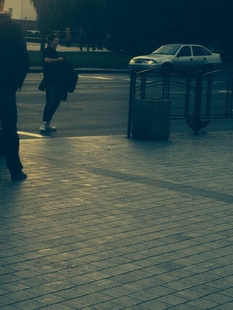 У центрі Луцька ловили курку. ФОТО. ВІДЕО