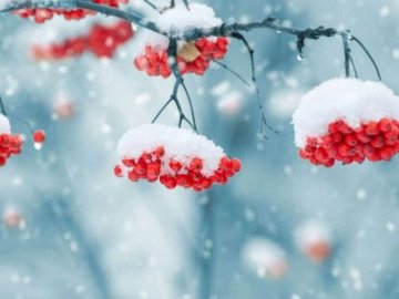 Погода в Луцьку та Волинській області на четвер, 5 грудня
