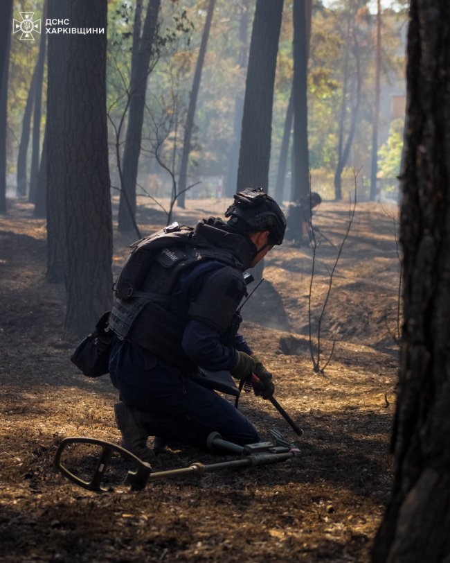 Волинські піротехніки розміновують палаючі ліси Харківщини. ФОТО, ВІДЕО