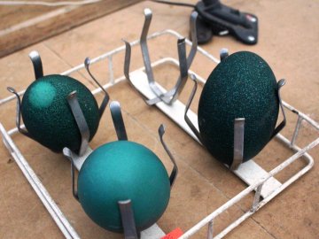 На Волині розводять страусів та ему, які несуть зелені яйця. ФОТО