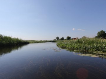 Покосити та почистити від заростей: на Волині закликають врятувати річку. ВІДЕО
