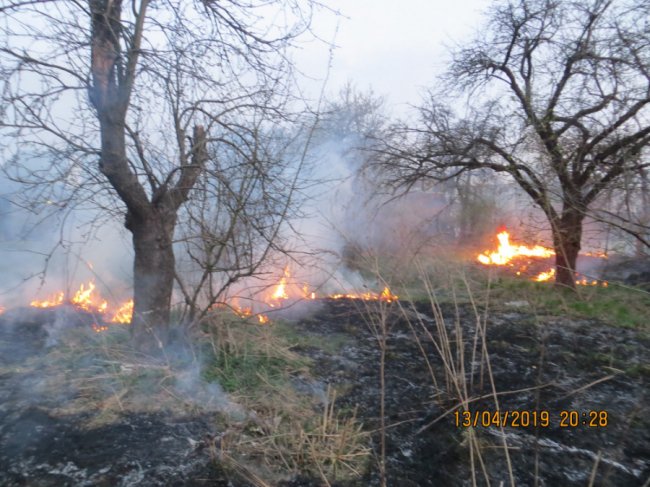 Вогонь вже підбирався до будинку: у Луцьку через палія сухостою ледь не загорілась хата. ФОТО