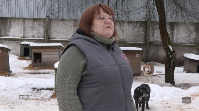 Як зимують тварини у луцькому притулку під час морозів