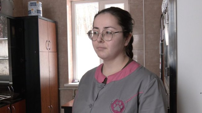 Як зимують тварини у луцькому притулку під час морозів