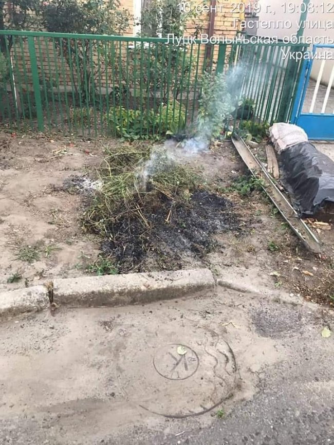У Луцьку виявили паліїв сухого листя. ФОТО