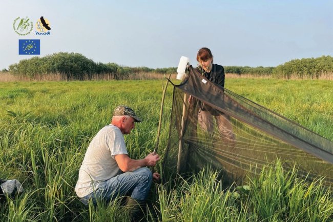 На Волині вчені з 5 країн шукали рідкісних птахів. ФОТО