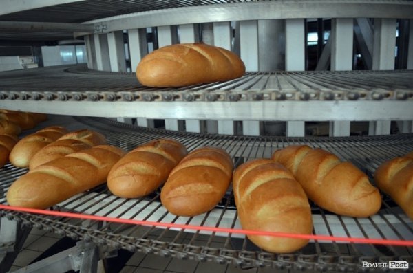 Як у Луцьку печуть хліб. ФОТО