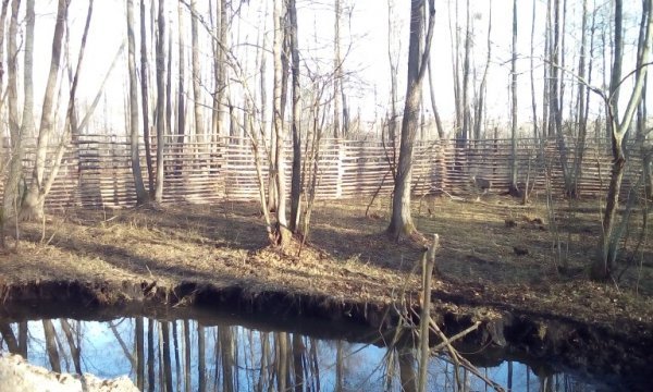 На Волині олені зимуватимуть у комфорті