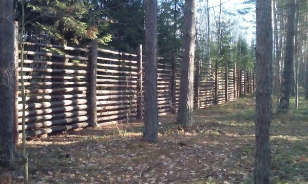 На Волині олені зимуватимуть у комфорті