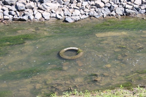 Як прибирають Сапалаївку. ФОТО