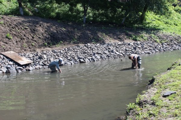 Як прибирають Сапалаївку. ФОТО