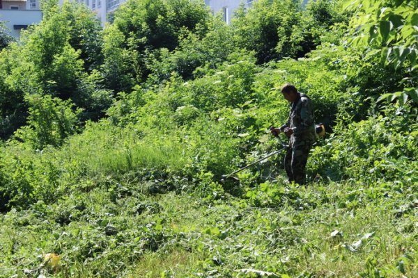 Як прибирають Сапалаївку. ФОТО