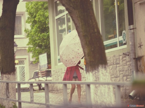 Луцькі парасолі. ФОТО