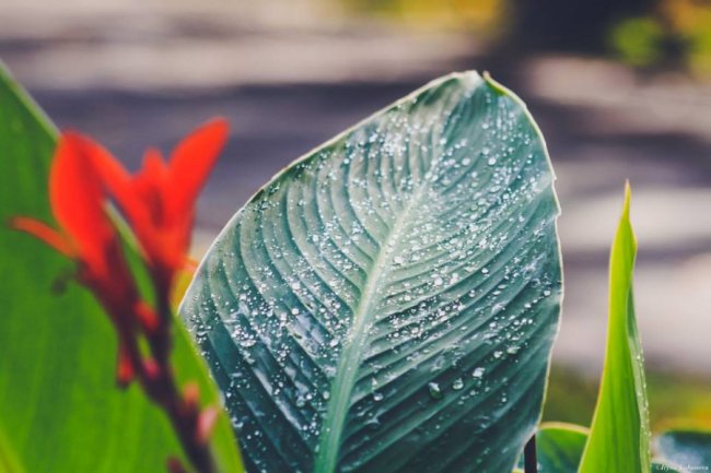 Пора шарфів та теплих розмов за кавою: осінь у Луцьку. ФОТО