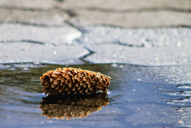 Пора шарфів та теплих розмов за кавою: осінь у Луцьку. ФОТО