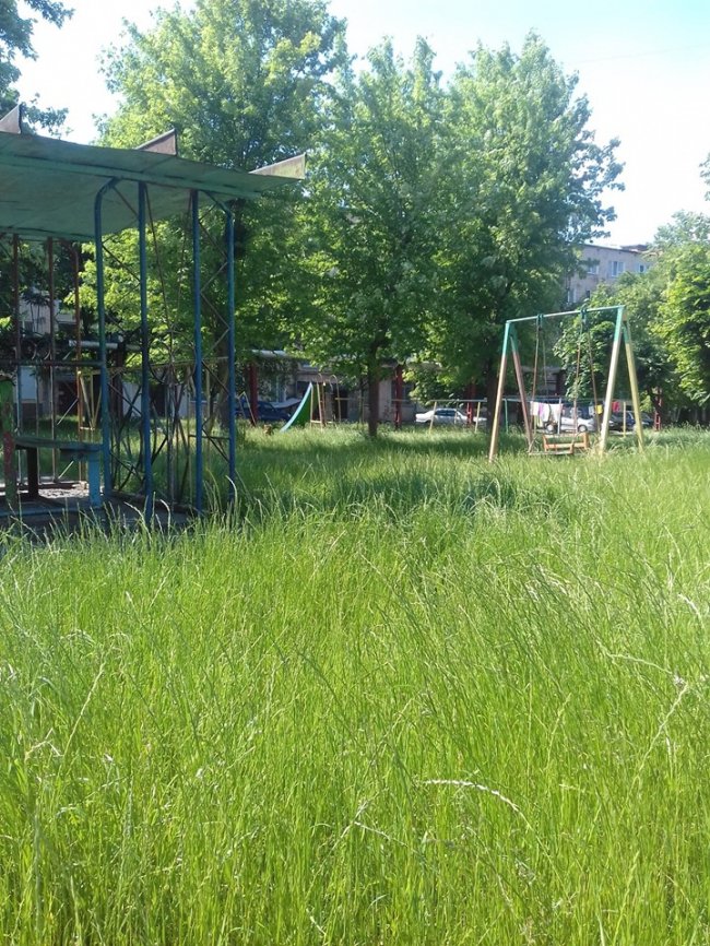 «Суцільний чагарник», – волинянка про своє місто. ФОТО