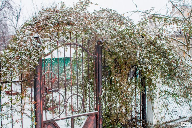 Засніжений Луцьк. ФОТОРЕПОРТАЖ