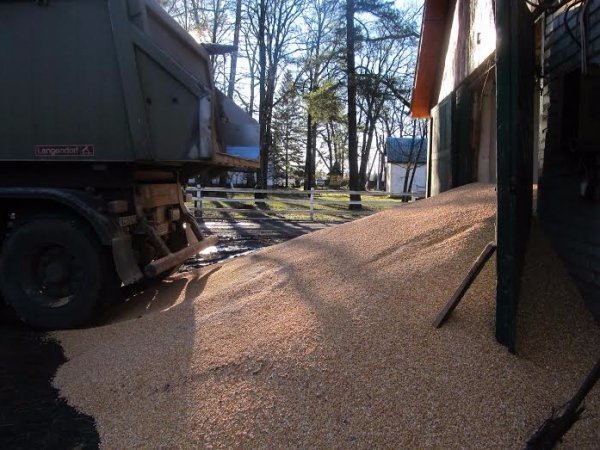 Єгерська служба на захисті тварин.ФОТО