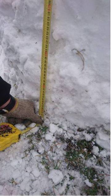 У селі на Волині зліпили 7-метрового сніговика. ФОТО