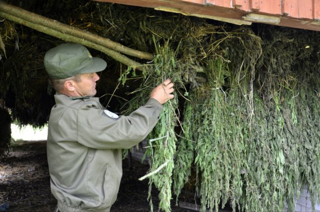 У Шацькому нацпарку до зимової підгодівлі тварин готуються ще влітку. ФОТО