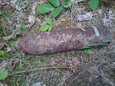 Волиняни в лісі знайшли снаряди