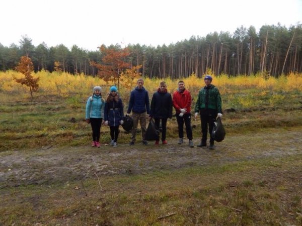Діти висадили дерева у волинському лісі. ФОТО