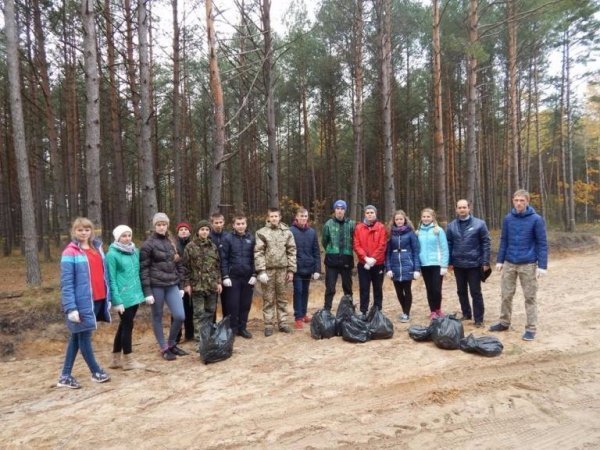 Діти висадили дерева у волинському лісі. ФОТО