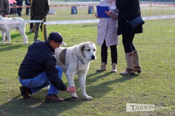 Луцький іподром перетворився на справжнє царство тварин. ФОТО