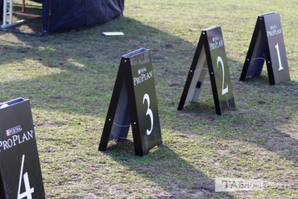Луцький іподром перетворився на справжнє царство тварин. ФОТО