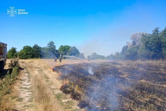 За добу пожежники Волині 7 разів гасили палаючий сухостій. ФОТО
