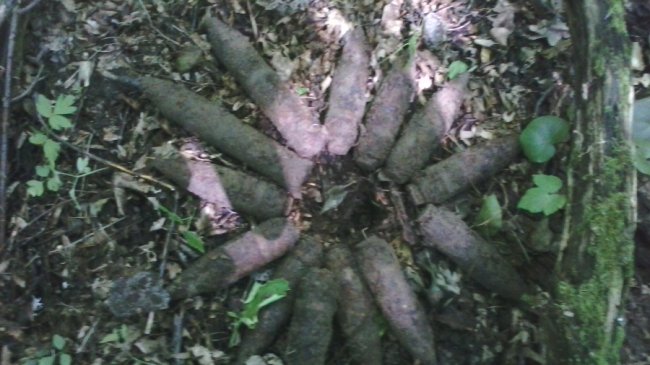 На Волині знешкодили небезпечні снаряди