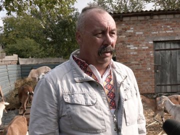 Фермер-переселенець змушений вирізати стадо кіз, яке зміг евакуювати на Волинь