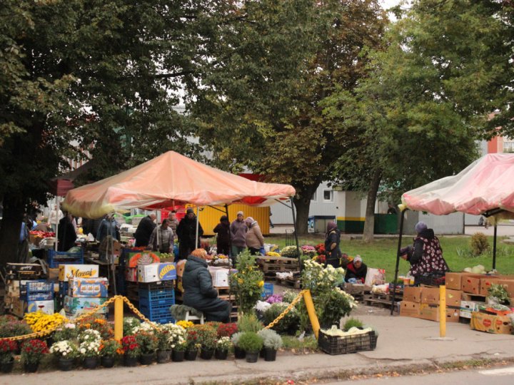 У Луцьку на ринку дорожчають яблука: продавці пояснили причину