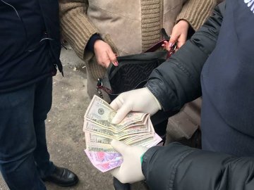 Двох пенсіонерок судитимуть за «рішалово» для волинської фірми у ДАБІ