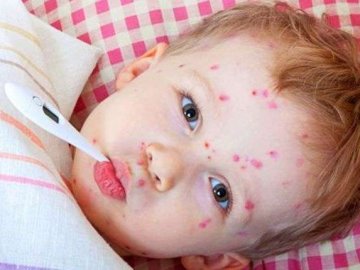 Волинь – у топ областей, «уражених» кором