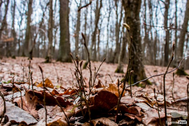 Перший день весни у «волинській Швейцарії». ФОТОРЕПОРТАЖ