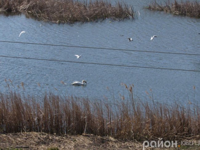 Волинський Версаль: на руїнах славетної історії