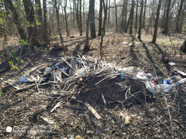 «Який вірус вразив голови людей?»: волиняни влаштували стихійне сміттєзвалище у лісі. ФОТО