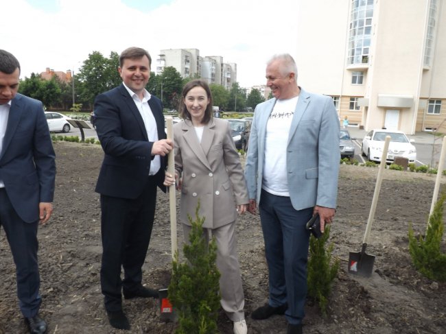 «Коло дружби»: у Сквері майбутнього поблизу волинського перинатального центру посадили туї