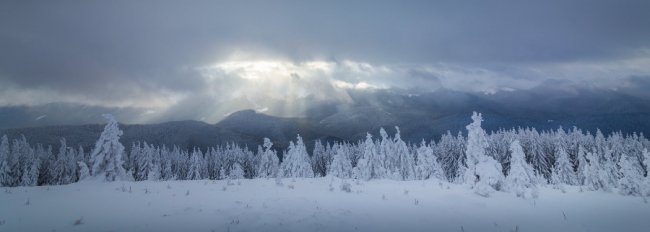 Луцький фотограф поділився світлинами засніжених Карпат