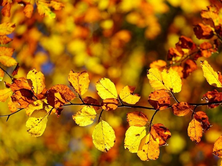 Якою буде погода у Луцьку та на Волині у неділю, 5 жовтня