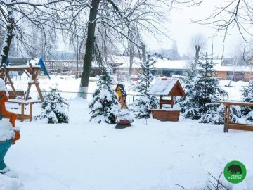 Зима в Луцькому зоопарку