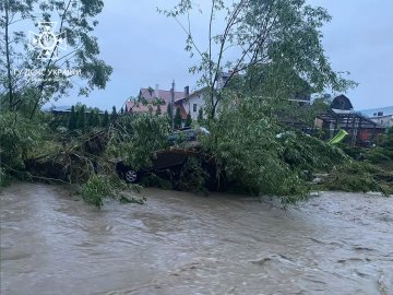 На Львівщині через сильні опади вийшла з берегів річка: затопило 100 будинків та 6 вулиць у селищі