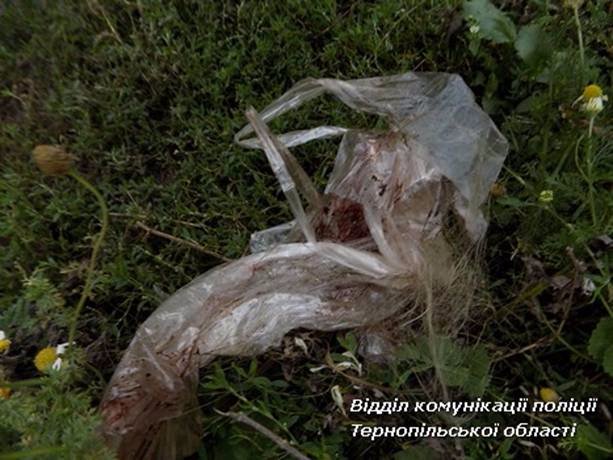 Небезпечне інтернет-знайомство: на Тернопільщині жорстоко вбили жінку